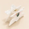 LILY ACETATE HAIR CLAW CLIP