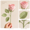 ELA BOUTIQUE｜CROCHET ROSE