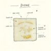 ELA BOUTIQUE |DIONE SOAP